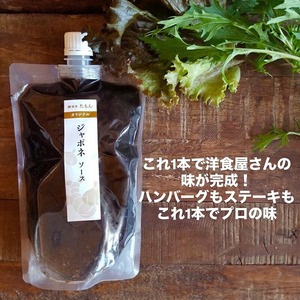 無添加ドレッシングと濃厚ジャポネソースのセット（500g）計3本_2種 野菜 ドレッシング ジャポネソース 各 500g 計 3本 セット 非加熱 生酵素 低オイル ヘルシー 人参 玉ねぎ 甘み 癖になる 美味しさ 玉ねぎドレッシング 人参ドレッシング フレッシュ 濃厚 洋食店の味 万能 ソース お取り寄せ 福岡県 久留米市 送料無料 〔Cd021-01〕