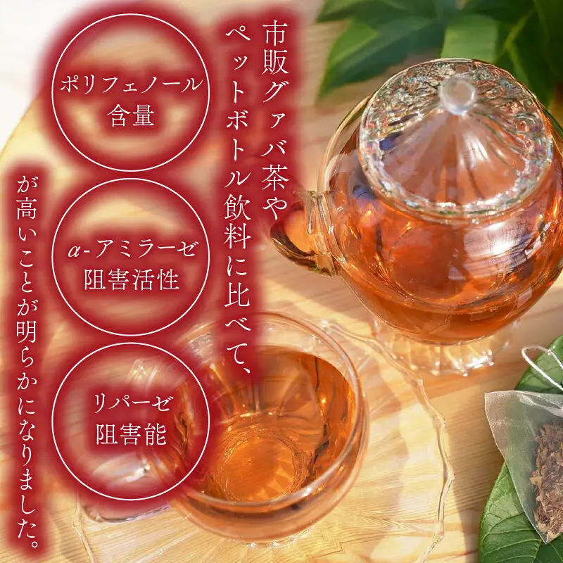【グァバ茶】土佐國グァバ茶 2g×60包 国産有機栽培の葉100％