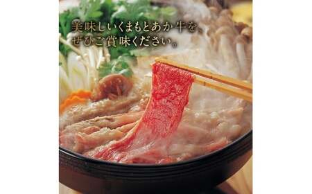 【定期便6回】GI認証 くまもとあか牛 すき焼き用500g＿U01-T1309_6