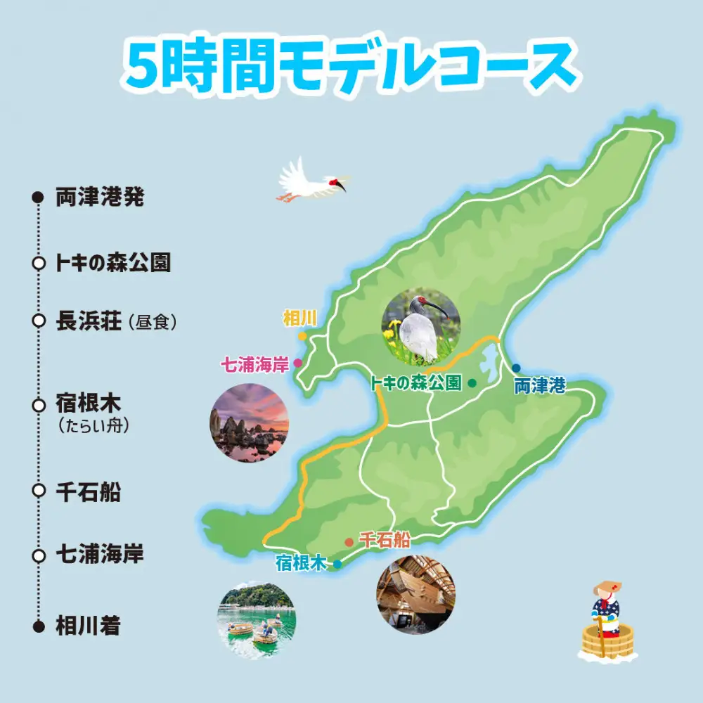 【新潟県佐渡】おけさ観光タクシー＜ヴェルファイア＞で巡る佐渡！5時間観光プラン　ラグジュアリーハイヤー