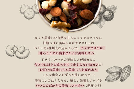 無塩 ミックスナッツ 無添加 焙煎ミックスナッツ(トレール) 500g トレイルミックスナッツ