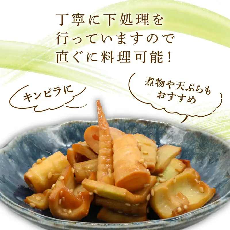 四方竹  食べ比べセット 土佐煮 水煮 炊き込みご飯の素 シャキシャキ 食感 珍味 季節 特産 珍しい 柔らか 筍 タケノコ 竹の子 煮物 おでん サラダ 和え物 天ぷら キンピラ お寿司 高知県 南国市