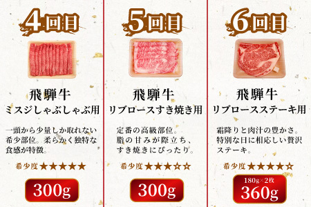 飛騨牛 希少部位 定期便 全6回 計1.86kg 2人前相当 すき焼き しゃぶしゃぶ ステーキ 焼肉 BBQ リブロース ランプ イチボ とも三角 ミスジ  ブランド牛 牛肉 肉 肉のひぐち 【7月発送開始】