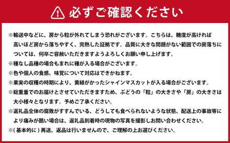 【岡山県産】 シャインマスカット約2.0kg  （3～4房） 【2026年9月上旬〜11月下旬発送予定】 ／ ぶどう ブドウ 葡萄 マスカット 種なし 種無し フルーツ 果物 くだもの 果実