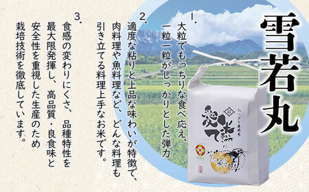 【令和7年産】雪若丸　10kg（5kg×2袋）　山形県鶴岡市産　愛米て