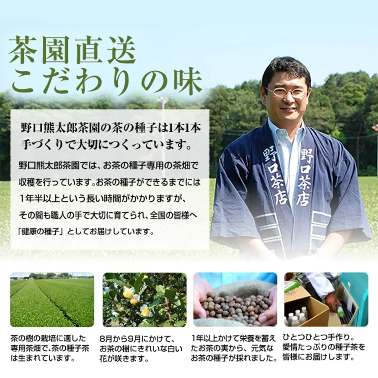 K2621 【創業明治七年 老舗茶屋謹製】 割れない 透明 大急須 520ml & 特上茎茶 280g×1袋 セット 大容量
