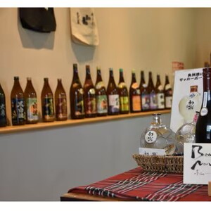 日本酒 志太泉 純米酒 ・ 特別本醸造 各1.8L 2本セット 地酒 お酒 ギフト プレゼント 贈答 贈り物 祝い 記念日 静岡県 藤枝市