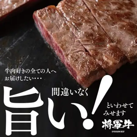 【将軍牛】特選ロースステーキ 500g【配送不可地域：離島・北海道・沖縄県】【1653402】