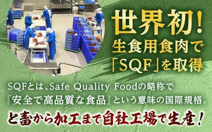 熊本 馬肉 馬肉ハンバーグ 8個（約130g/個）ハンバーグ[AYAF098]