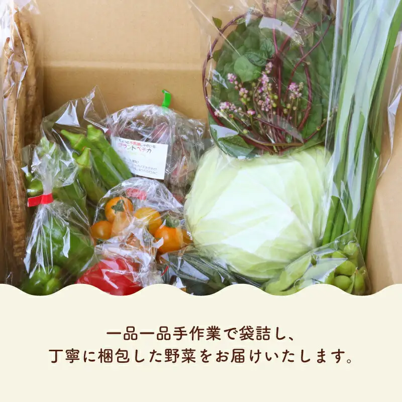 【4ヶ月に1回お届け 全3回コース】南国土佐の季節野菜と卵（ゆずたま）の詰め合わせセット | 定期便 セット 詰め合わせ 旬 やさい たまご 卵 柚子 ゆず ゆずたま 農家直送 人気 高知県 南国市