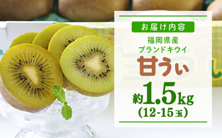 先行予約 キウイフルーツ 約1.5kg 12-15玉[BGAG017] キウイフルーツ