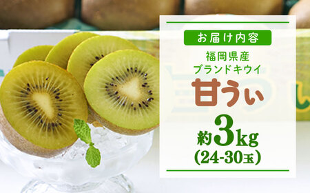 先行予約 キウイフルーツ 甘うぃ 約3kg 24-30玉[BGAG018] きうい