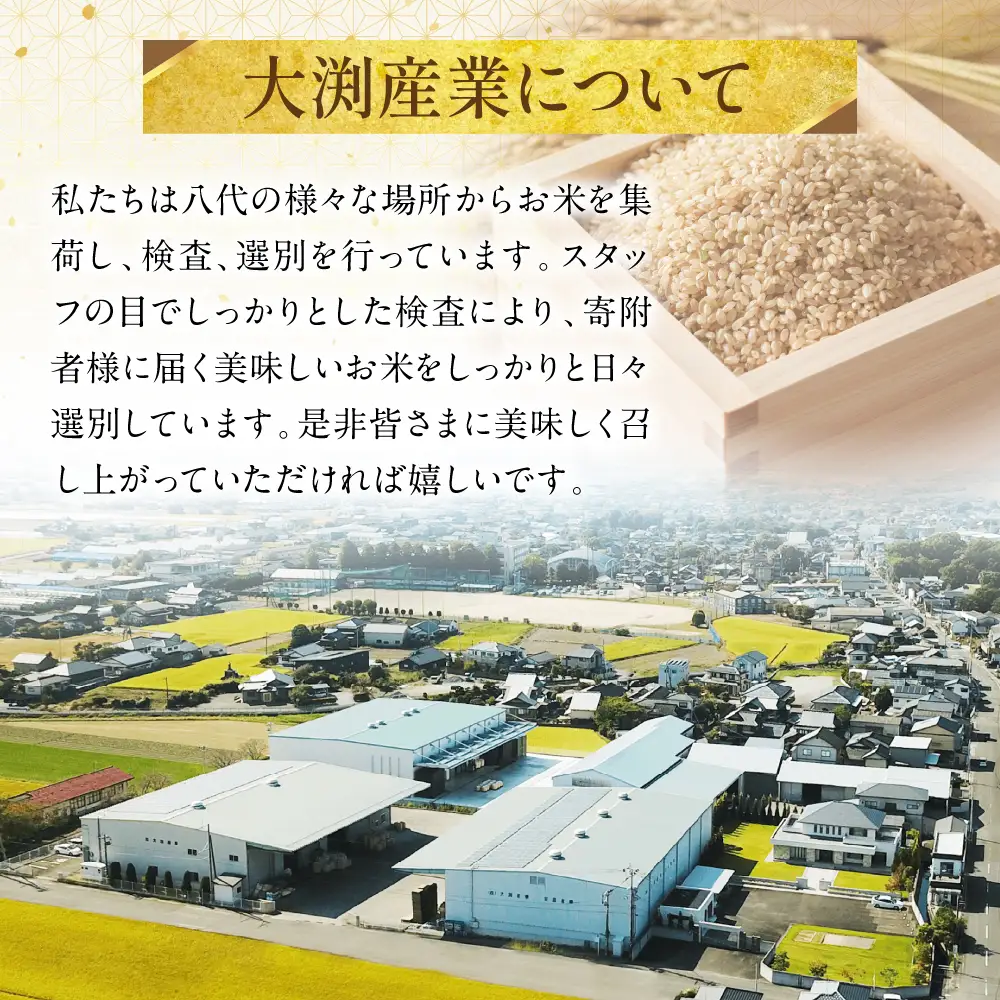くまさんの輝き 発芽玄米 パックごはん 180g×24個入り 米 お米 コメ 熊本県産 国産 パックご飯 ひとり暮らし 非常食 防災 仕送り 備蓄