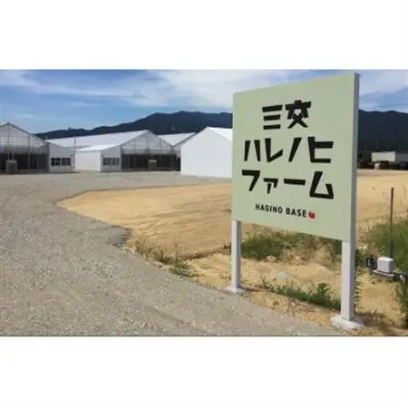 ハレノヒトマト　120g×8袋【配送不可地域：離島】【1568854】