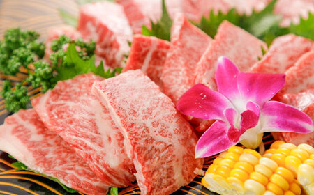 【全6回定期便】GI認証 くまもとあか牛 焼肉 約500g 計約3kg あか牛焼肉 BHAZ027