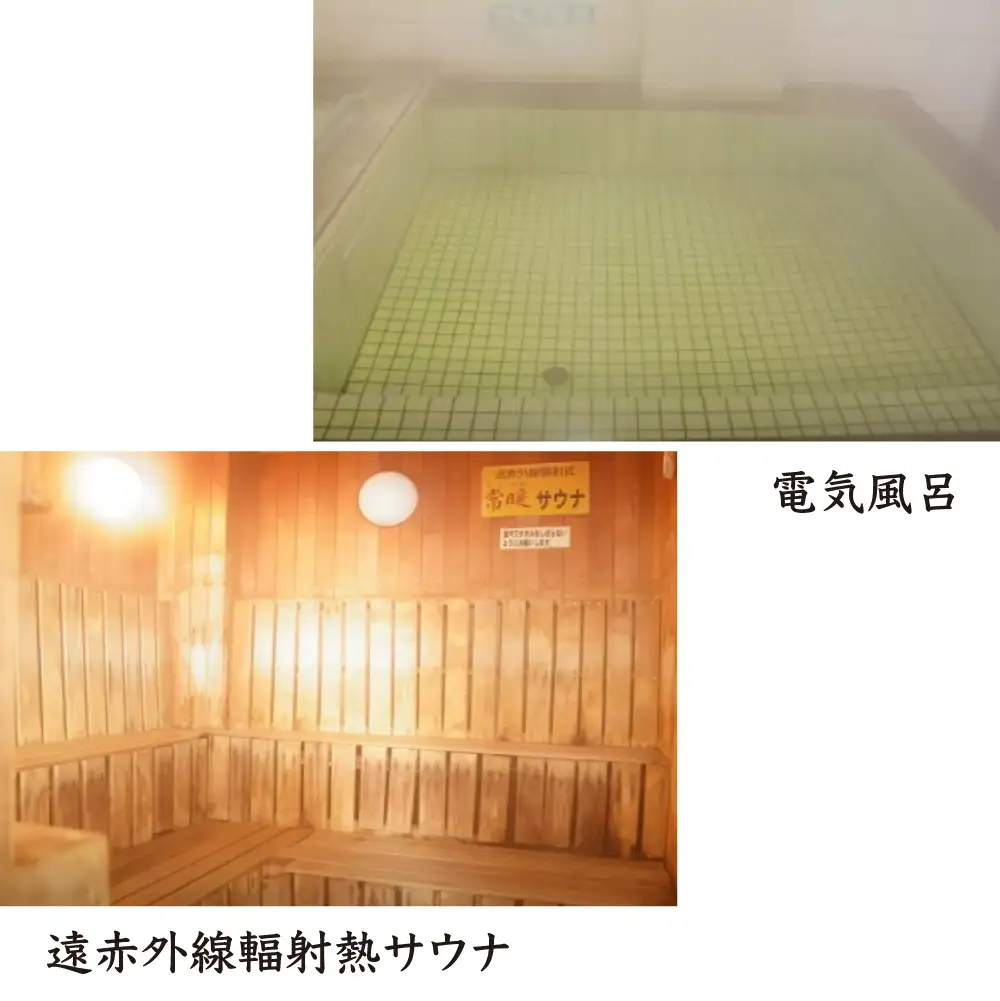 ほっとプラザ　杉の子温泉　入浴回数券 11枚セット　【02402-0406】