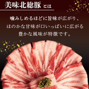 美味北総豚肉 3種 計900g [ask030] 肉セット