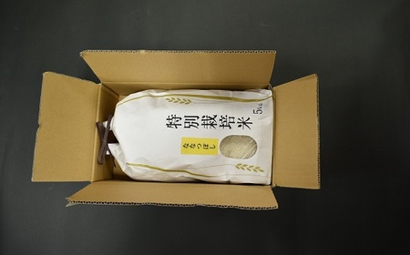 浦河の特別栽培米「ななつぼし」精米(5kg×1袋)定期便(全3回)[37-1489]