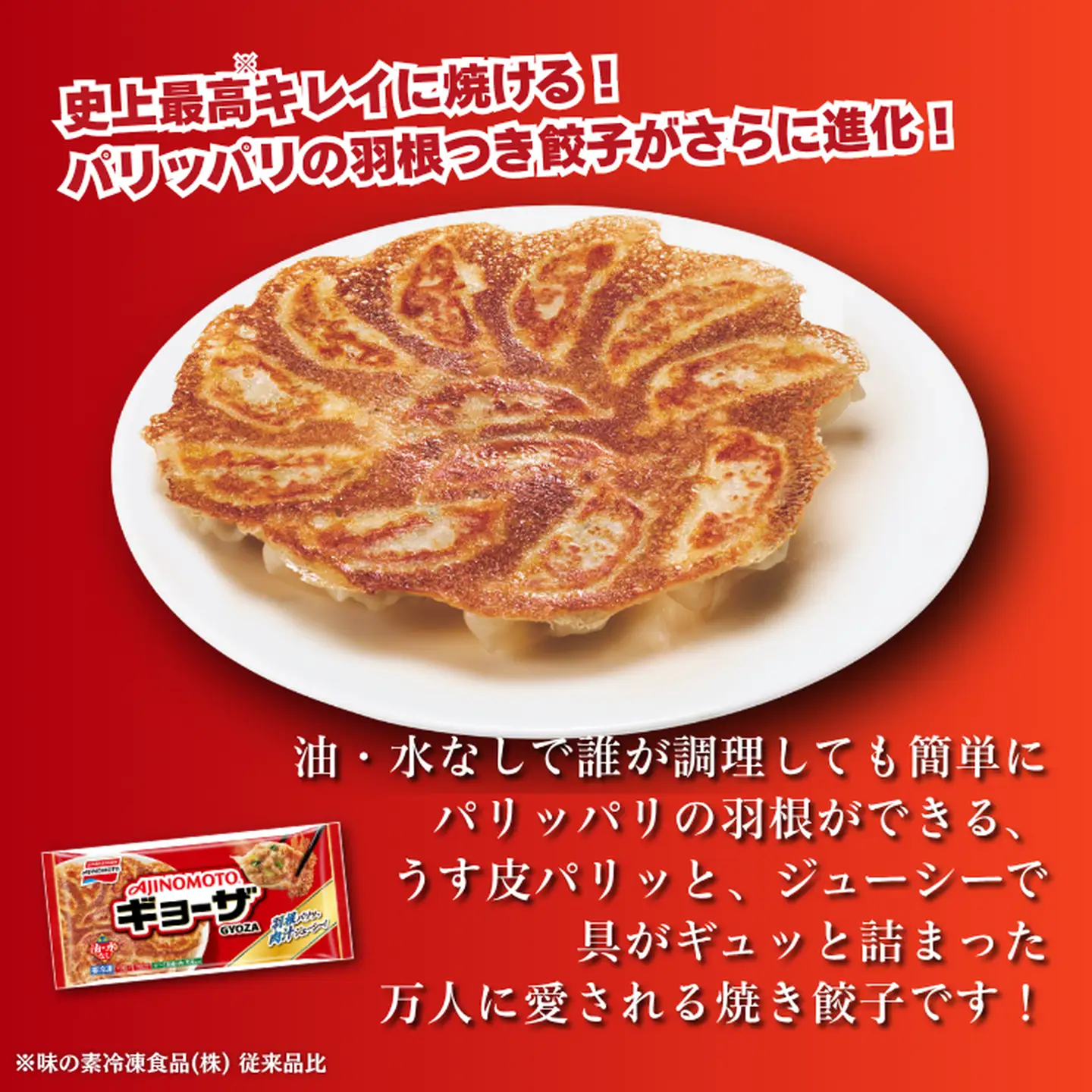 人気返礼品コラボセット AJINOMOTOギョーザ・JAさがオリジナル鶏ごぼうピラフ（各10袋） ぎょうざ ピラフ 味の素 冷凍食品 餃子 簡単調理 加工食品 惣菜 冷凍 佐賀市：B250-029