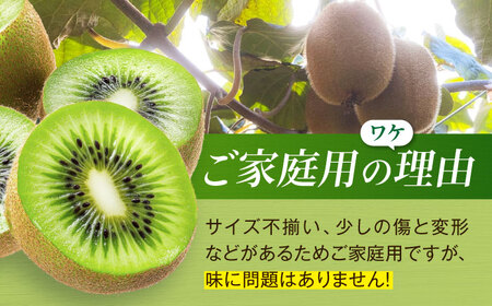 キウイ 訳あり（10個）【11月上旬から順次発送】キウイ[AGDC006]