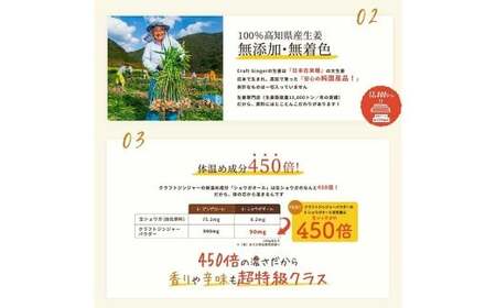 Craft Ginger Powder （クラフト ジンジャー パウダー） 75g×2袋 計150g ／ 生姜 しょうが 野菜 ジンジャー 粉 薬味 調味料 高知県 香美市 常温