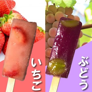 くずバー 12本 (5種類×2本＋ブルーベリー1本＋おまかせ1本) 冷凍 アイス スイーツ くずバー 果物 和菓子 お菓子 レモン 愛知県
