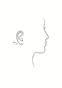 b250-013　プラチナ900 ダイヤモンド ピアス Kreis(クライス）