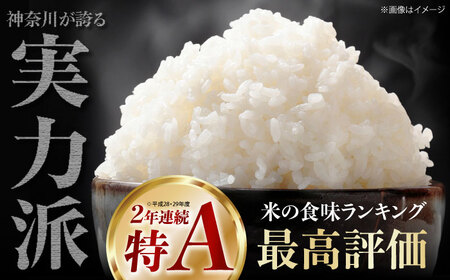 【白米】はるみ米 20kg 白米   [BDBB004]