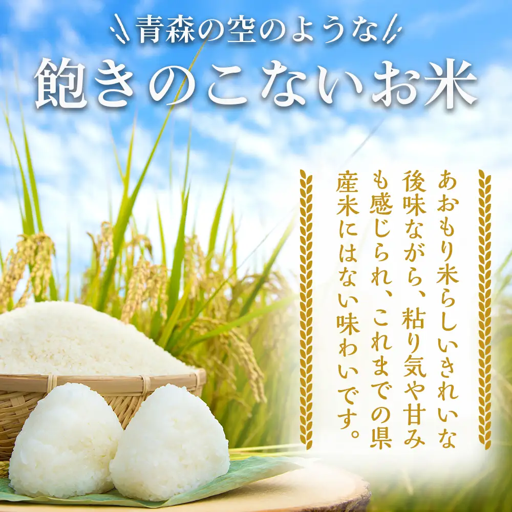 【令和７年産】青森県産米 はれわたり 5kg  ブランド米