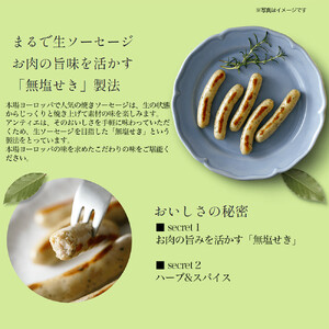 無塩せき ウインナー あんてぃえ 山葵 100g x 10p 計1.0kg ウインナー 北海道_05365