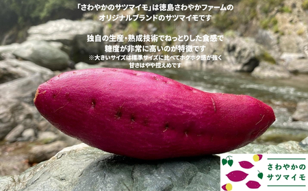 【予約受付中・2026年10月頃より順次発送】さわやかのサツマイモ 大きいサイズ 9kg 　鳴門　サツマイモ　ねっとり　甘い　天ぷら　スイーツ　焼き芋　さつまいも