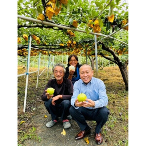 梨のフルーツらっきょう 75g×10個