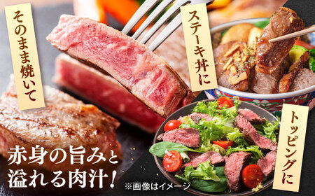 【全3回定期便】博多和牛 赤身 モモステーキ 約500g（100g×5） 桂川町/株式会社 MEAT PLUS [ADAQ114] 赤身 牛モモ ステーキ 小分け 定期便
