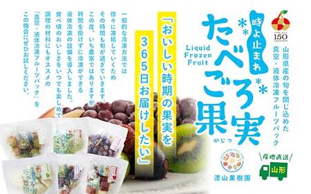 漆山果樹園冷凍加工品セット (各6個) 『漆山果樹園』 冷凍フルーツ ジェラート ケークサレ ベーグル ドライフルーツ バターサンド 菓子 デザート 山形県 南陽市 [2418]