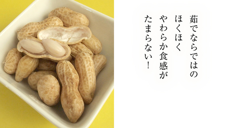 牛久市産 茹で 落花生 300g × 2袋 セット 計600g