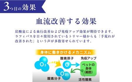 犬猫兼用 オゾンバスレンタルサービス 2ヶ月 ペット