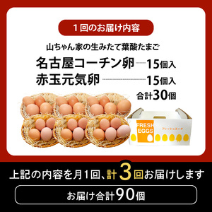 【3ヶ月定期便】【山ちゃん家の生みたて葉酸たまご】名古屋コーチン卵・赤玉元気卵 食べ比べセット（各15個 合計30個入り）［132Y09-T］3ヶ月定期便 山ちゃん家 生みたて 葉酸たまご 名古屋コーチン卵 赤玉元気卵 食べ比べ セット 各 15個 合計 30個 入り 地鶏 卵 朝食 卵焼き 目玉焼き オムライス ゆでたまご 山田養鶏 お取り寄せ 愛知県 小牧市 送料無料
