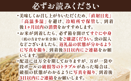 【令和7年産】 コシヒカリ 5kg 精米 白米 米 コメ