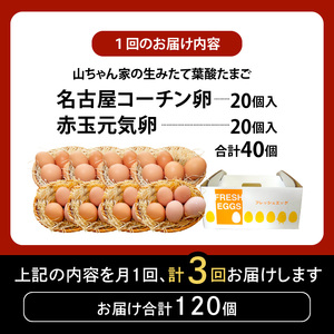 【3ヶ月定期便】【山ちゃん家の生みたて葉酸たまご】名古屋コーチン卵・赤玉元気卵 食べ比べセット（各20個 合計40個入り）［132Y11-T］3ヶ月定期便 山ちゃん家 生みたて 葉酸たまご 名古屋コーチン卵 赤玉元気卵 食べ比べ セット 各 20個 合計 40個 入り 地鶏 卵 朝食 卵焼き 目玉焼き オムライス ゆでたまご 山田養鶏 お取り寄せ 愛知県 小牧市 送料無料
