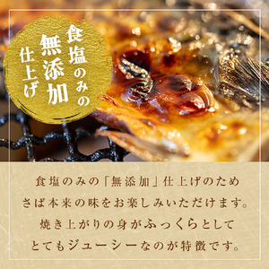＜ 訳あり ＞ 無添加 塩サバフィレ 1kg 魚 塩さば 冷凍 不揃い 規格外 焼き魚 焼魚 煮魚 魚 切身 切り身 青魚 鯖 切身 さば サバ フィレ 宮城県 石巻市