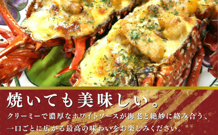 【 伊勢海老 】 活〆冷凍伊勢海老 700g ～ 800g