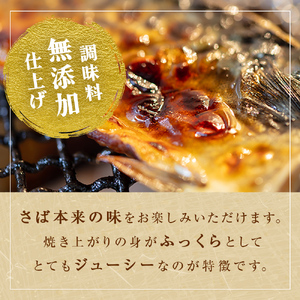 ＜ 訳あり ＞ 無塩サバフィレ 1kg 無添加 魚 さばフィーレ 無塩 冷凍 不揃い 規格外 焼き魚 焼魚 煮魚 魚 切身 切り身 青魚 鯖 切身 さば サバ フィレ 宮城県 石巻市