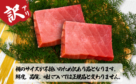 訳あり！ キハダマグロ 約1kg まぐろ