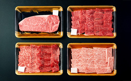 山形牛 牛肉 四種 豪華食べ比べセット サーロインステーキ カタ モモ カルビ ja-gns4x1550