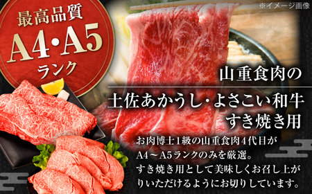 土佐あかうし＆よさこい和牛　すき焼き食べ比べ 各種約800g 総計約1.6kg / やわらか ヘルシー うま味凝縮【(有)山重食肉】[ATAP188]