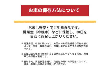 新米 コシヒカリ ５㎏ 静岡県産 令和７年産 【米 5kg コメ 白米 こめ すぐ届く 】