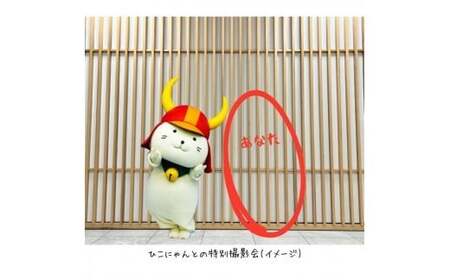 令和8年分  ひこにゃんファンクラブ プレミアムPlus会員権 1名様分 ご当地キャラ ひこにゃん ファンクラブ 滋賀 彦根
