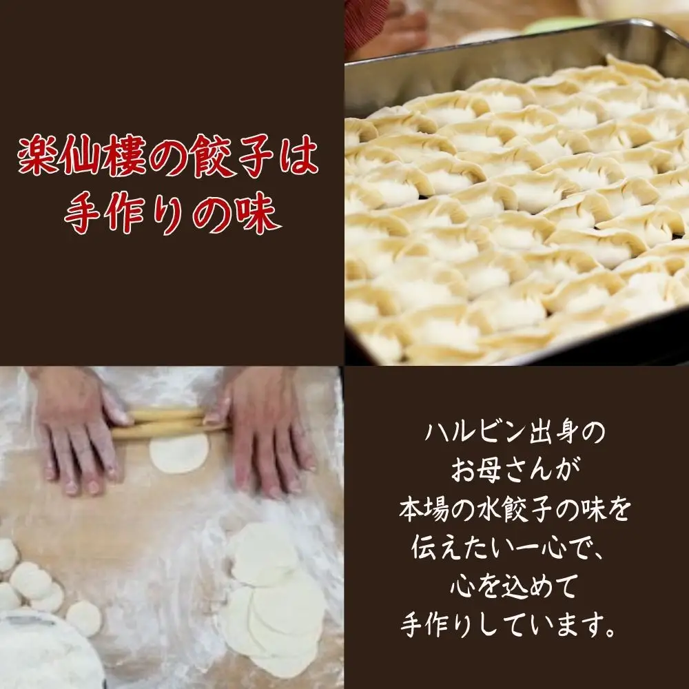 【楽仙樓】水餃子(10個入り) 2袋 [ 京都 本格中華 中華料理 手作り 名物 人気 おすすめ 点心 お惣菜 ニンニク不使用 グルメ ギフト プレゼント お取り寄せ 通販 送料無料 ふるさと納税 ]