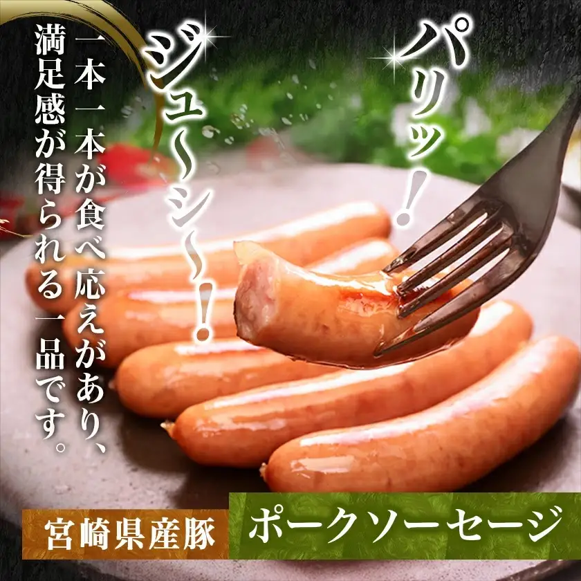 黒豚肩ロースしゃぶしゃぶ用500g&ポークソーセージセット〔AA-N405〕_(都城市) 都城産黒豚 肩ロース しゃぶしゃぶ用 500g×1パック 宮崎県産豚肉使用 ポークソーセージ 真空 200g×1袋 豚肉