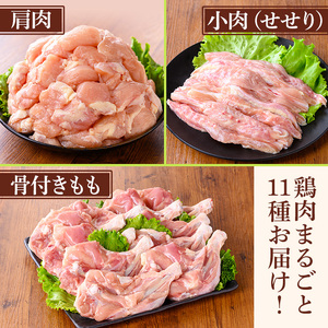 鹿児島県産若鶏まるごとセット(合計3.05kg) 国産 鶏肉 鳥肉 肉 若鶏 お肉 もも肉 モモ肉 むね肉 ムネ肉 胸肉 ささみ ササミ 筋なし 砂肝 肝 手羽先 キチンリブ 手羽元 肩肉 小肉 骨付きモモ セット 詰め合わせ 小分け 冷凍 真空パック 食べ比べ 【TRINITY】_y539